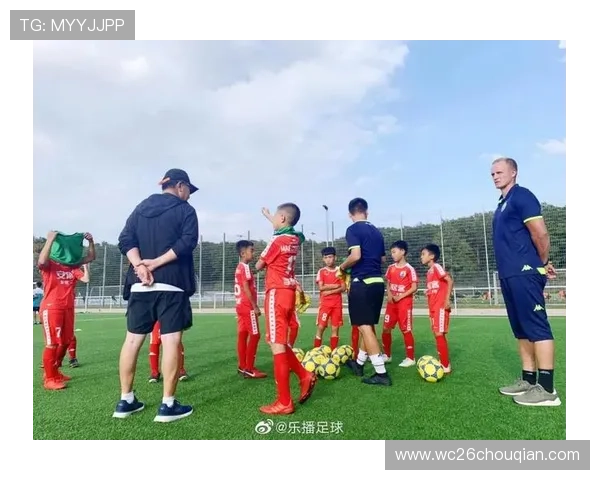 德国世界杯夺冠对国内足球青训体系的激励与发展建议