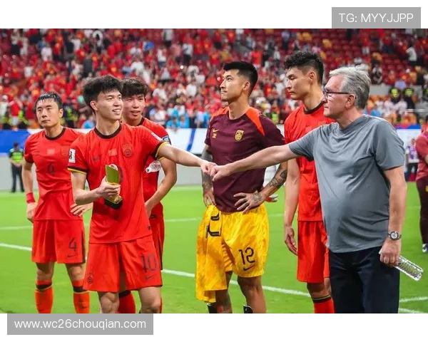 详细的世界杯球队排名一览表，提供权威数据支持，满足球迷对球队实力排名的全面了解